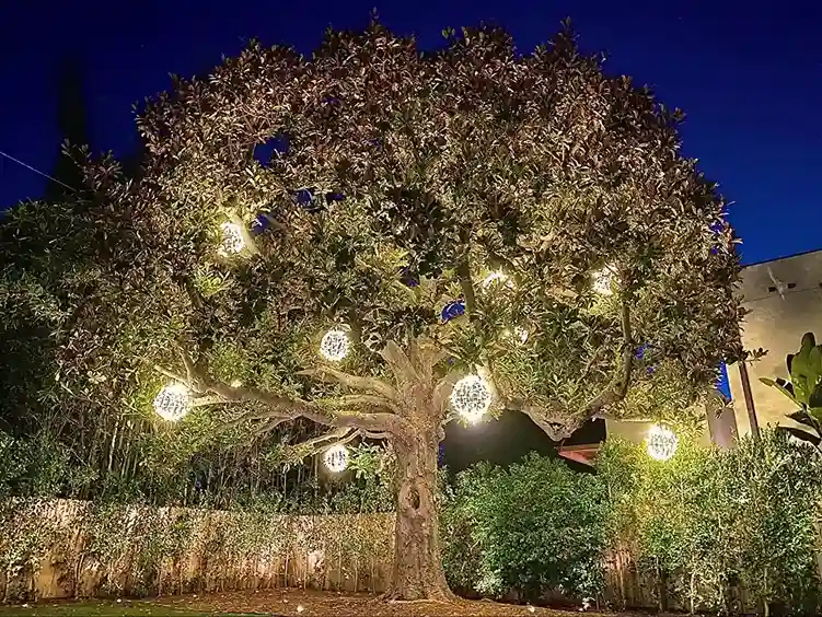 How to Install Landscape Lighting: A Step-by-Step Process