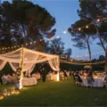 Light Up Los Angeles: 5 Party Lighting Ideas for Unforgettable Events