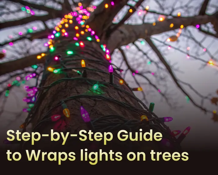 Steps to Wrap Christmas Lights on trees