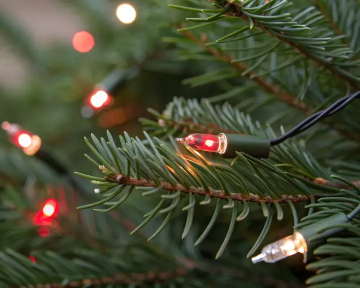 Light lifespan factors