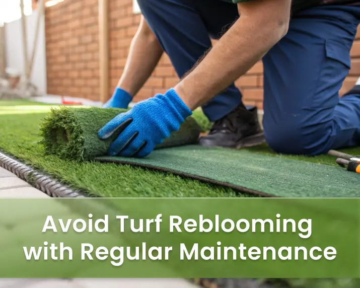 Prevent Turf Reblooming with Ongoing Maintenance