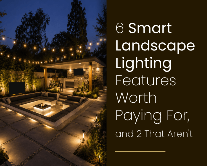 app-controlled landscape lighting illuminating a modern Los Angeles home exterior at dusk with uplights on trees and path lights along the driveway